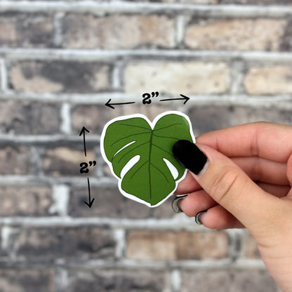 A hand adorned with black nail polish delicately grasps the Monstera Leaf Sticker, an ideal accessory for plant enthusiasts. The 2-inch by 2-inch green sticker offers a striking contrast against the gray brick wall tiles in the background.